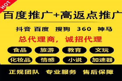 成功SEM推广代运营案例分享